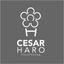 Logo for Cesar Haro Design