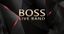 Logo for Boss Live Band