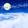 Logo for BlueSkye Staffing Corp.