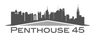 Logo for Penthouse 45