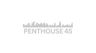Logo for Penthouse 45