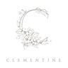 Logo for Clementine Botanical Art