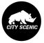 Logo for City Scenic