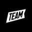 Logo for TEAM