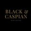 Logo for Black & Caspian