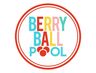 Logo for Berry Ball Pool