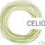 Logo for Celio's Design