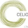 Logo for Celio's Design