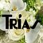 Logo for Trias Flowers and Events