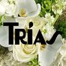 Logo for Trias Flowers and Events