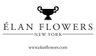 Logo for ÉLAN FLOWERS