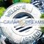 Logo for Caviar Dreams