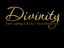 Logo for Divinity Event Lighting & AV Productions