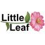 Logo for Little Leaf Florist