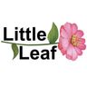 Logo for Little Leaf Florist