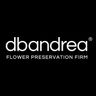 Logo for dbandrea LLC