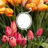 Logo for Ornamento