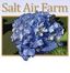 Logo for Salt Air Farm
