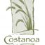 Logo for Costanoa Lodge and Resort
