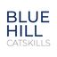Logo for Blue Hill Catskills