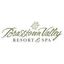 Logo for Brasstown Valley Resort & Spa