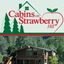 Logo for The Cabins on Strawberry Hill