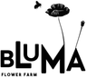 Logo for Bluma Flower Farm and Floral Design