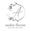 Logo for Andes Florist