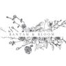 Logo for Bantam & Bloom