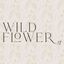 Logo for Wildflower MJ