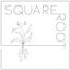 Logo for Square Root Designs