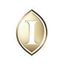 Logo for InterContinental Miami