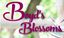 Logo for Boyd's Blossoms
