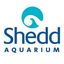 Logo for Shedd Aquarium