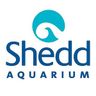Logo for Shedd Aquarium