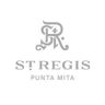 Logo for St. Regis Punta Mita