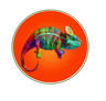 Logo for Chameleon Event Space