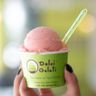 Logo for Dolci Gelati