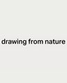 Logo for Drawing from Nature
