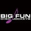Logo for BIG FUN Disc Jockeys
