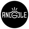 Logo for Angle Platform