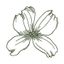 Logo for Dogwood Catering Company