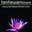 Logo for Tantawan Bloom