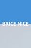 Logo for DJ Brice Nice