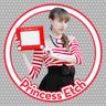 Logo for Princess Etch