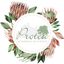 Logo for Protea Weddings and Events