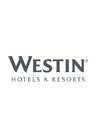 Logo for The Westin Tampa Bay