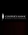 Logo for Coopers Hawk