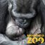 Logo for Brookfield Zoo