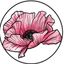 Logo for Pink Poppy Media
